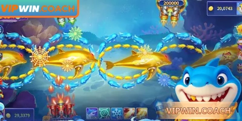 Khám phá giá trị điểm thưởng từng loài cá sinh động