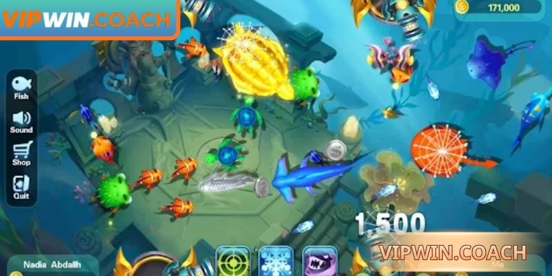 Khám phá sinh vật độc đáo, mỗi loài mang giá trị riêng biệt