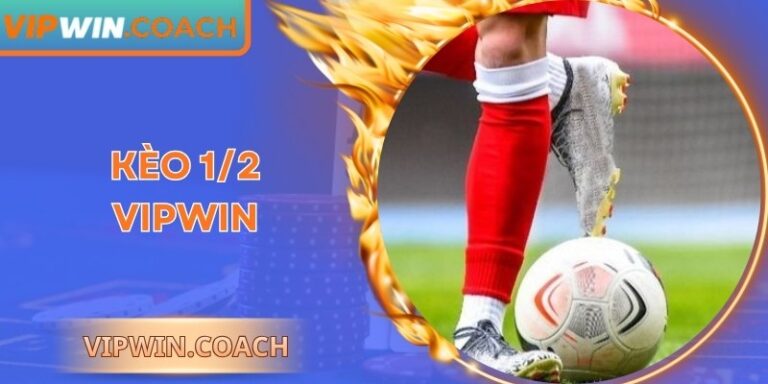 Kèo 1/2 Vipwin | Bí Quyết Chinh Phục Thị Trường Đặt Tiền