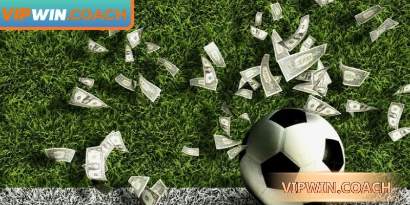 Hướng dẫn chi tiết cách đọc kèo 1/2 Vipwin