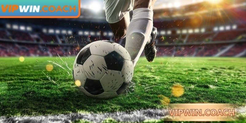 Các yếu tố ảnh hưởng trực tiếp đến kết quả dự đoán