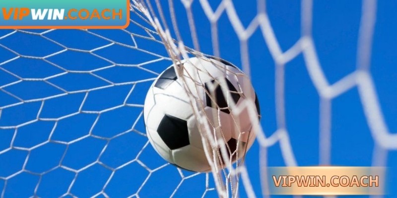 Tìm hiểu kèo 1x2 Vipwin