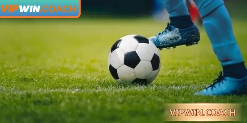 Một số chiến thuật đọc kèo giúp hội viên thắng lớn