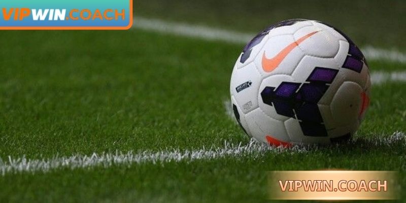 Xem xét dữ liệu thống kê để tìm kiếm kết quả thắng lớn