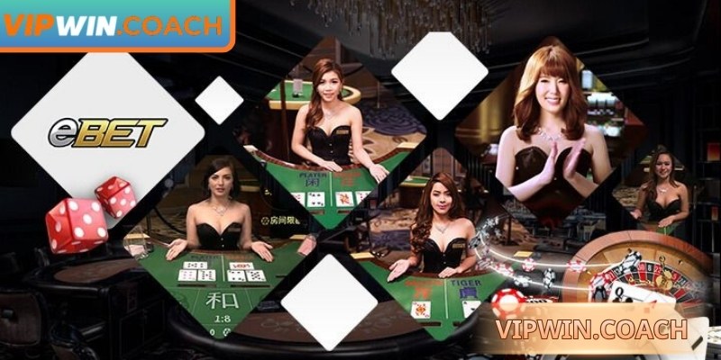 Ba bước đơn giản để trải nghiệm liền mạch sảnh EBET Vipwin