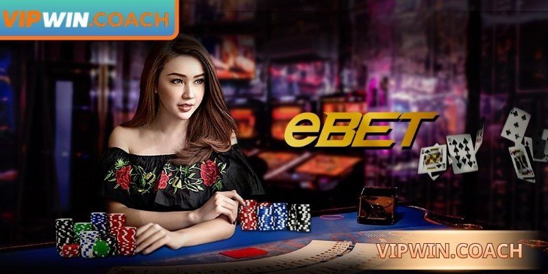 Giao diện thân thiện, vận hành ổn định, hỗ trợ đa thiết bị