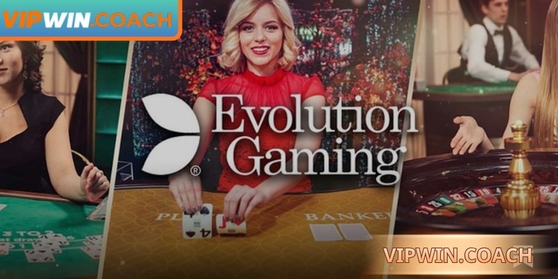 Mẹo quan sát và chiến lược hiệu quả tại sảnh EVO Vipwin