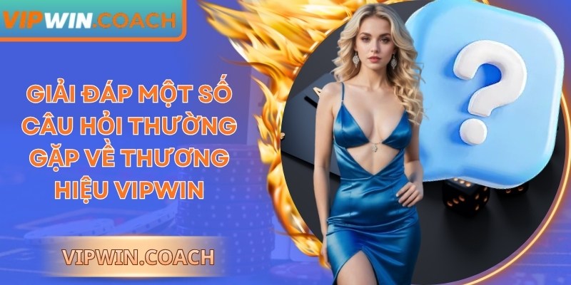 Giải đáp một số câu hỏi thường gặp về thương hiệu Vipwin