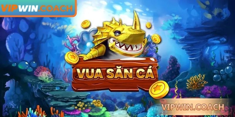 Bắt đầu hành trình giải trí hiệu quả từng bước