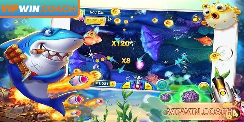 Hiểu rõ vương gia đánh cá Vipwin giúp tối ưu chiến thuật hiệu quả