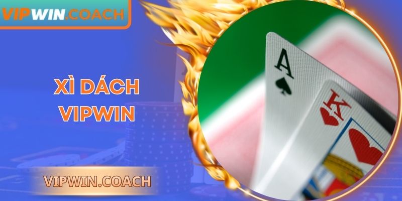 Xì Dách Vipwin: Trải Nghiệm Hấp Dẫn, Chiến Thuật Cao